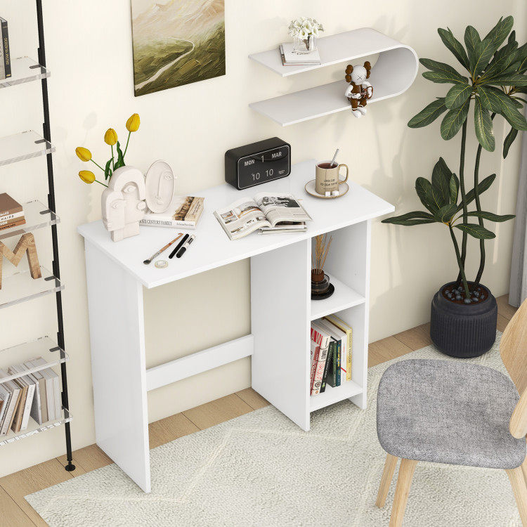 Small Computer Desk with Storage and Adjustable Shelf