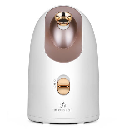 Hot and cold face steamer