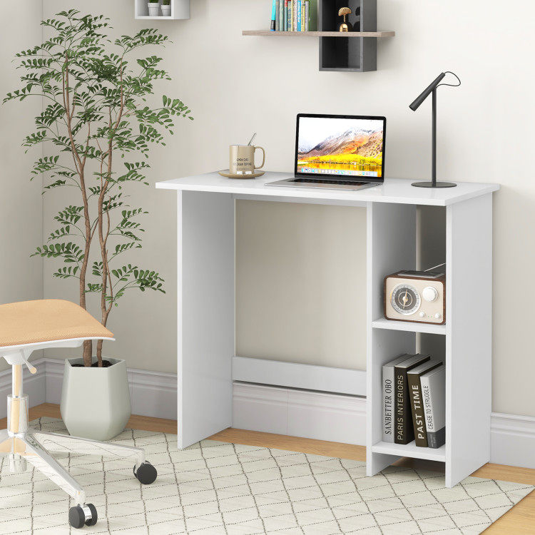 Small Computer Desk with Storage and Adjustable Shelf