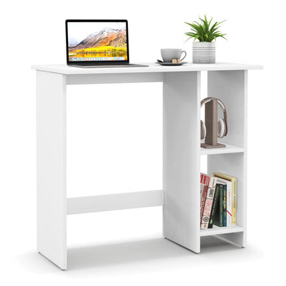 Small Computer Desk with Storage and Adjustable Shelf